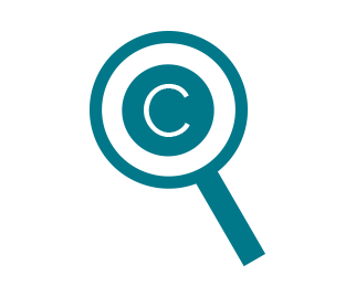 Our Expertise »